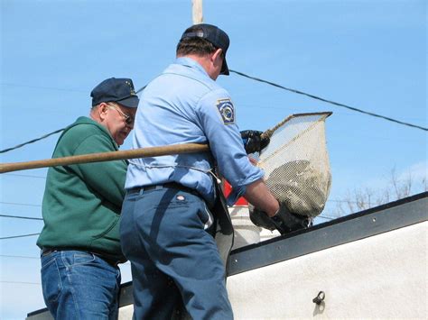 Fall Trout Stocking Under Way By Pennsylvania Fish And Boat Commission