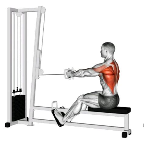 Seated V Bar Cable Row Exercise How To Workout Trainer By Skimble