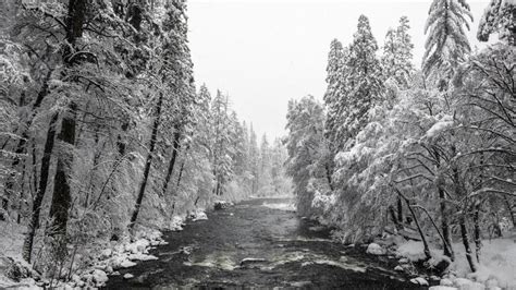Merced River Monochrome Photography Backiee