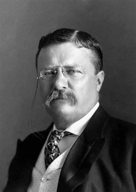 Theodore Roosevelt Wikiwand