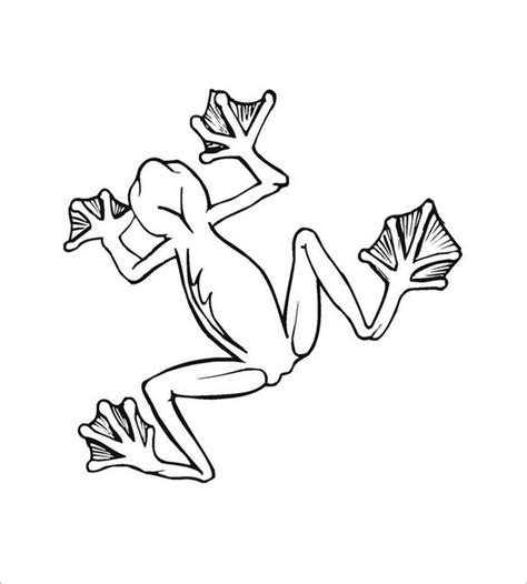 Frog Drawing Images At Getdrawings Free Download