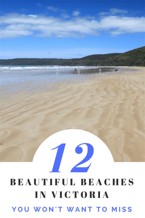 12 Beautiful Beaches In Victoria That You Wont Want To Miss Free Two