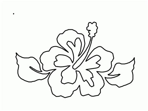Find the best hawaiian coloring pages for kids & for adults, print 🖨️ and color ️ 20. Coloring Pages Tropical - Coloring Home