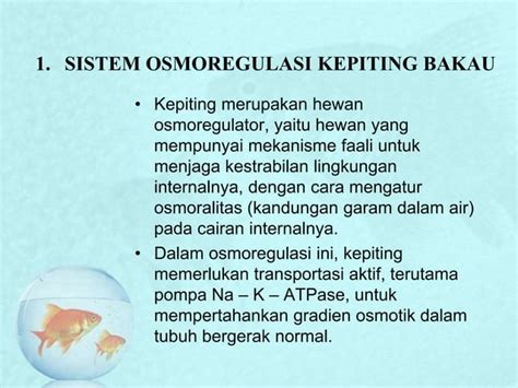 Sistem Osmoregulasi Pada Kepiting Dan Udang Ppt