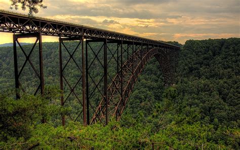 Bridge Landscape Forest Wallpapers Hd Desktop And Mobile Backgrounds