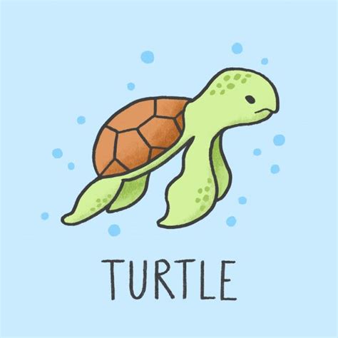 Cute Turtle Cartoon Hand Drawn Style Cute Cartoon Drawings Cute Animal