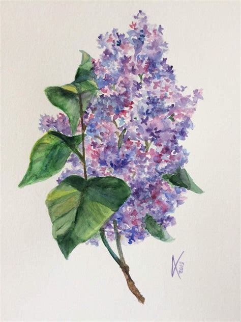 Original Floral Watercolor Painting Of Lilacs Botanical Wall Art 8 X