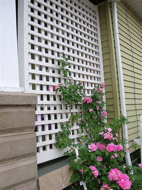 Some Pink Flowers Are Growing Next To A White Trellis On The Side Of A