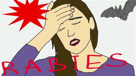 Human bites is one of the prime tools of transmission of this disease. Rabies -Symptoms and Treatment - Explained Simply - YouTube