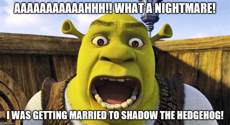 Shrek Meme 1 By Arcgaming91 On Deviantart