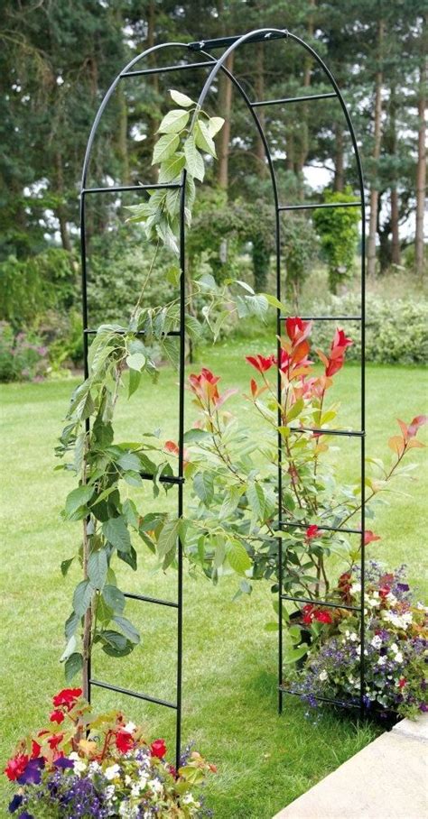 It offers supports for beautiful flowering or fruiting vines ( such as rose or cucumber. Pin on rose bush trellis