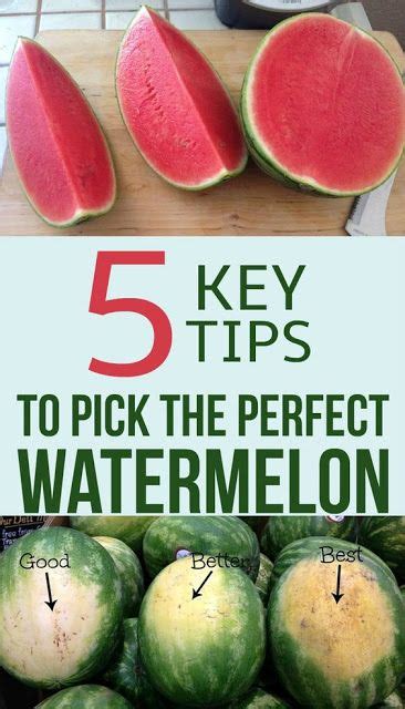 5 Key Tips To Pick The Perfect Watermelon In 2020 Picking Watermelon