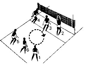 18,00 m 9,00 m 162,00 m² wasserball: TSV Braunshardt - Volleyball - Die Netzroller