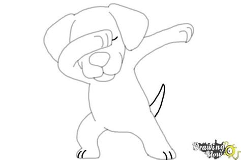 How To Draw A Cute Dog Dabbing Drawingnow Cute Animal Illustration