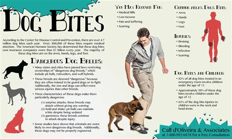 Infographic On Dog Bite Injuries Doliveira And Associates