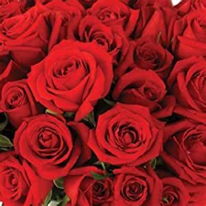 Discount wholesale silk flowers and floral supplies on sale at afloral.com. Amazon.com: Send Fresh Cut Bulk Flowers - 200 Red Roses ...