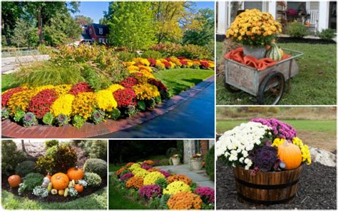 Whether you want your outdoor space to be fun and festive or classically elegant, menards ® has a variety of fun products to update your yard. Amazing Fall Front Yard Decorations That Will Fascinate You