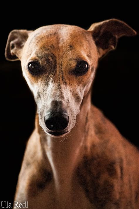 Und dann fällt mir wieder nichts ein, was ich zu hause fotografieren könnte. Sunshine and family: Fotoshooting zu Hause