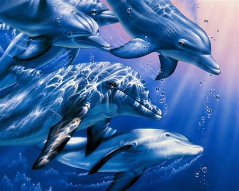 Dolphin Desktop Wallpapers Wallpaper Cave