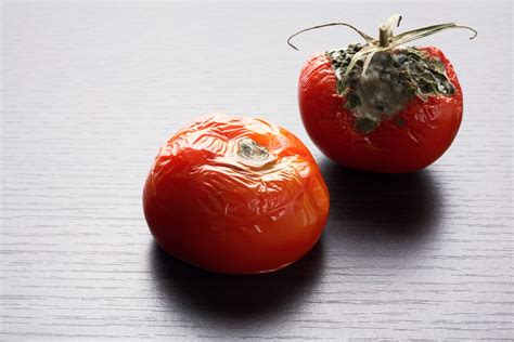 ~ sign up for rotten tomatoes. Food Spoilage and How to Prevent It - National Checking