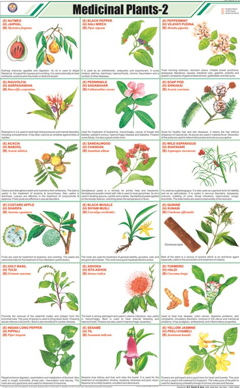 Medicinal Plants Chart Medicinal Plants Chart