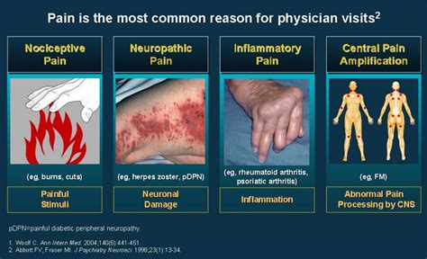 Central Sensitization — National Pain Centers®