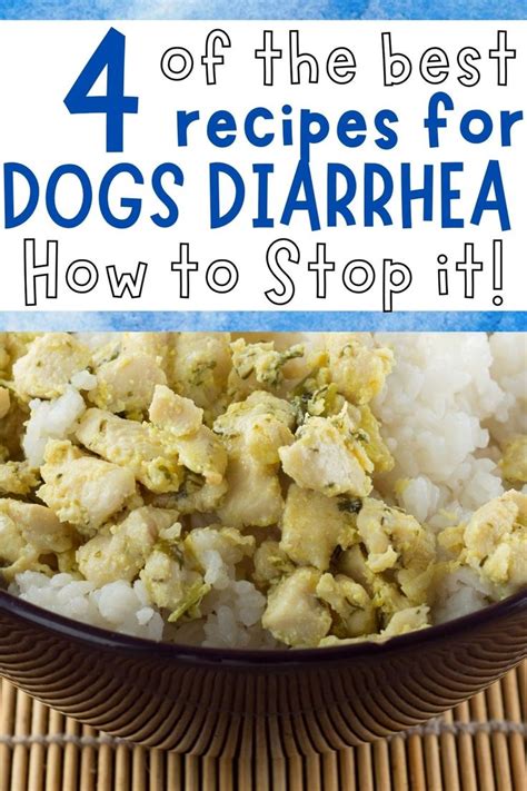 Recipes To Stop Your Dogs Diarrhea Recipe In 2021 Healthy Dog Food