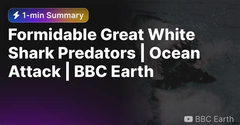 Formidable Great White Shark Predators Ocean Attack Bbc Earth