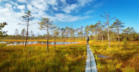 10 National Parks In Estonia And Reserves That You Must Visit