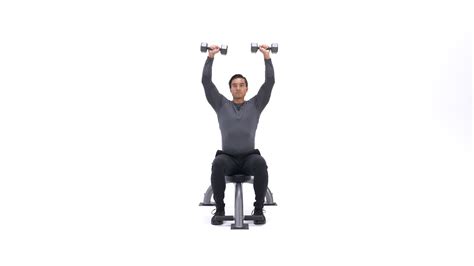 Seated Dumbbell Shoulder Press Exercise Videos And Guides