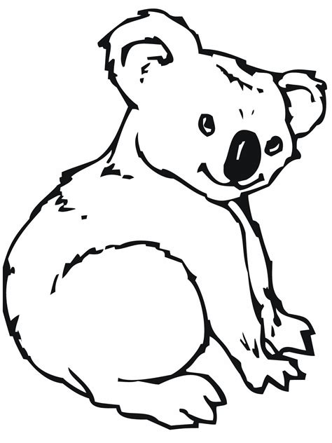 Realistic Koala Bear Coloring Pages