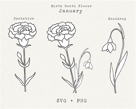 Carnation Flower Svg Snowdrop Flower Svg January Birth Month Etsy Israel