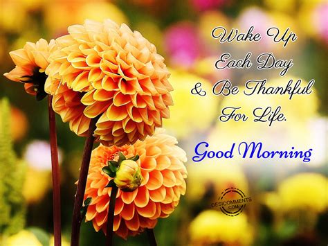Wake Up Each Day & Be Thankful For Life - Good Morning - DesiComments.com
