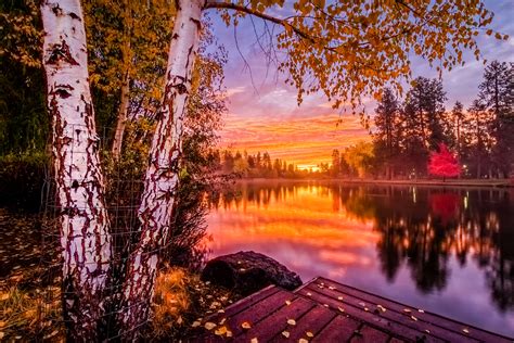 배경 화면 햇빛 경치 숲 가을 일몰 호수 자연 반사 하늘 구름 분기 해돋이 저녁 아침 거울 Hdr