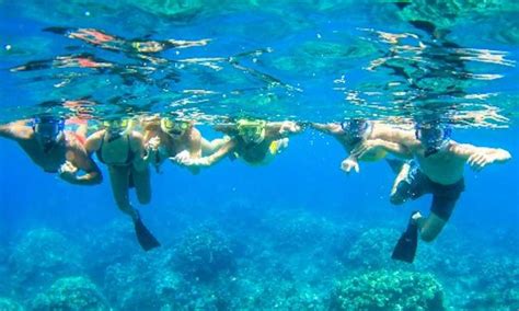 Maui Kaanapali Beach Snorkel W Breakfast And Lunch Getyourguide