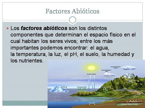 Ecologia Y Medio Ambiente 605 Act 2 Cuadro Sinoptico De Factores Del