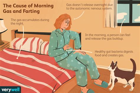 The Causes Of Morning Gas And Farting In Your Sleep