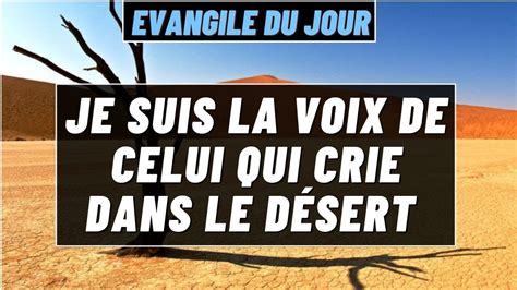 Parole Et Evangile Du Jour 2 Janvier Je Suis La Voix De Celui Qui