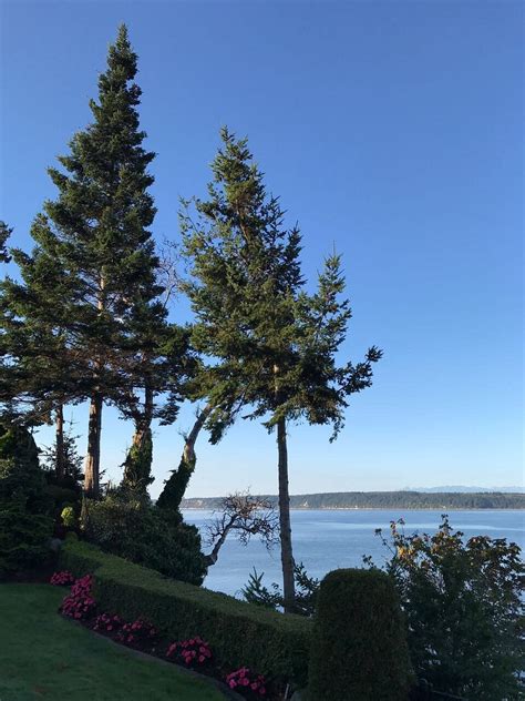 Sea Mist Waterfront Inn Camano Island Wa Opiniones Y Precios