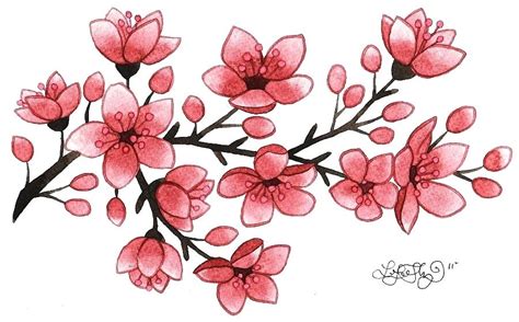 Cherry Blossom Drawing Wallpaper Free Download On Clipartmag