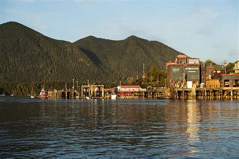 About Tofino The Official Tourism Tofino