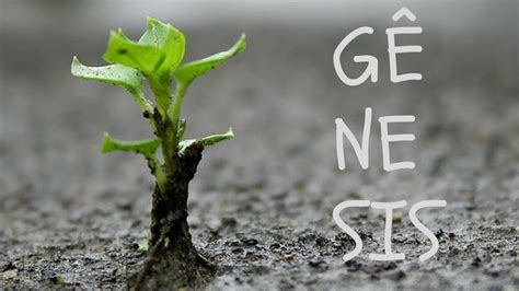 Genesis mobile base is an event location on the global map during the season 12. Gênesis: resumo e destaque - YouTube