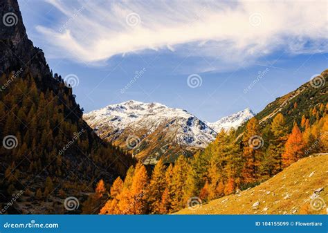 Landscape Of The Swiss Alps And Forest Of National Parc In Switzerland