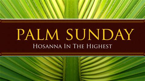 Palm Sunday Hd Easter Wallpapers Hd Wallpapers Id 65851