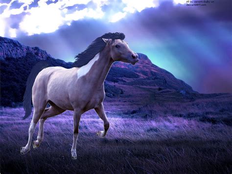 Purple Horse By Giniwolf On Deviantart