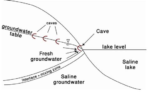 A Simplified Model Of Cave Formation In The Shallow Phreatic Zone Of