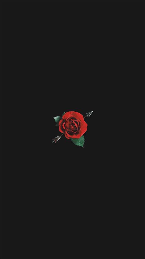 Aesthetic rose wallpapers wallpaper cave. Free download Aesthetic Red Rose With Black Background ...