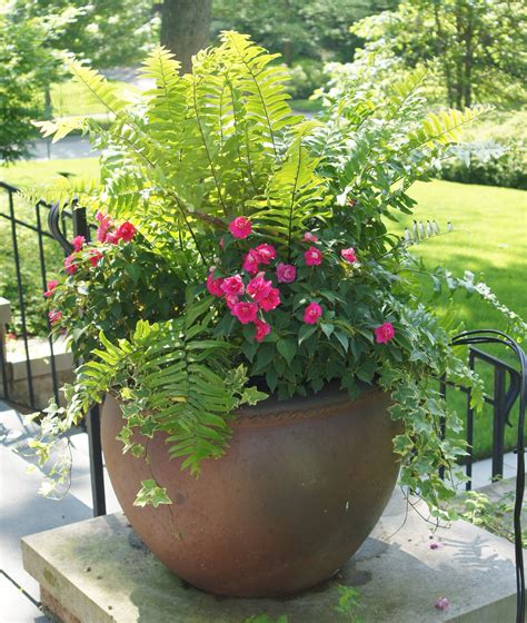Small Garden Landscape Container Plants Container Gardening Shade
