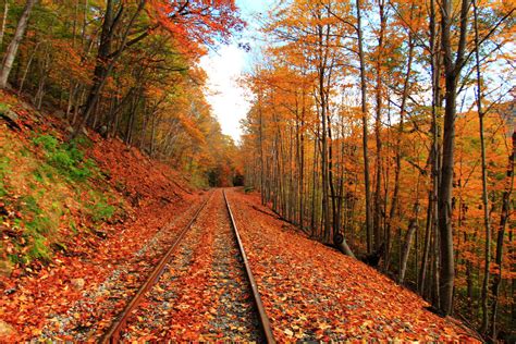 Autumn Railroad By Celem On Deviantart
