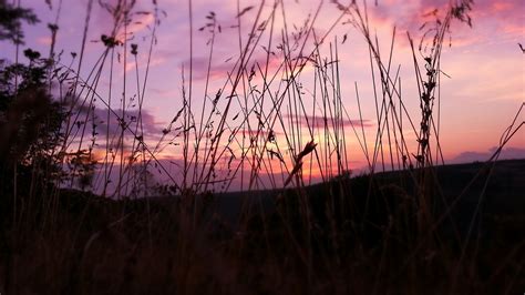 1920x1080 Pink Sky Nature Laptop Full Hd 1080p Hd 4k